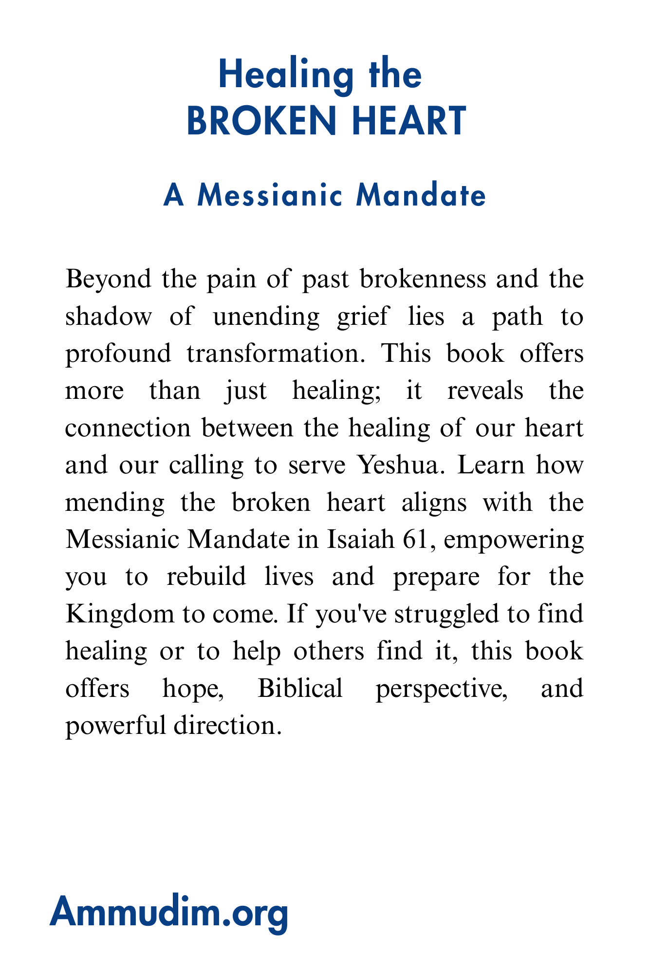 Healing the Broken Heart
