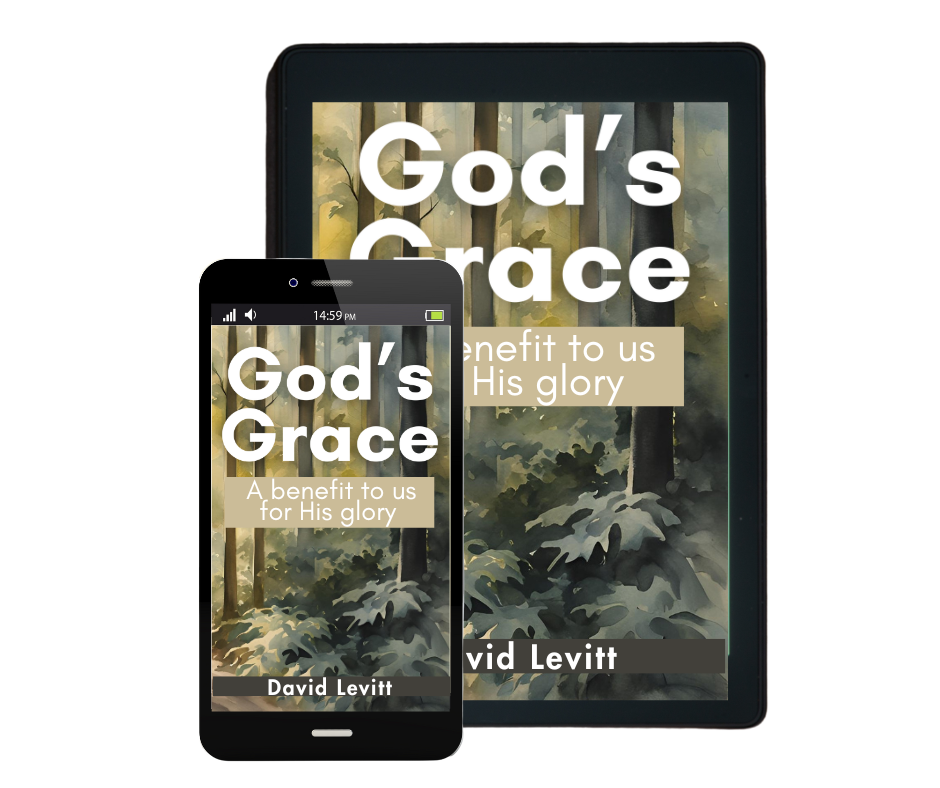 God's Grace eBook