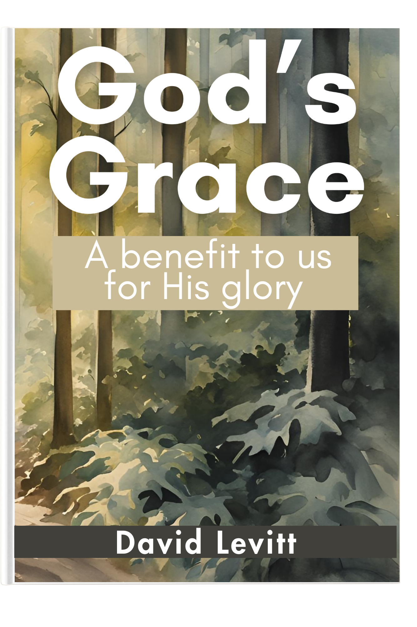 God's Grace by David Levitt